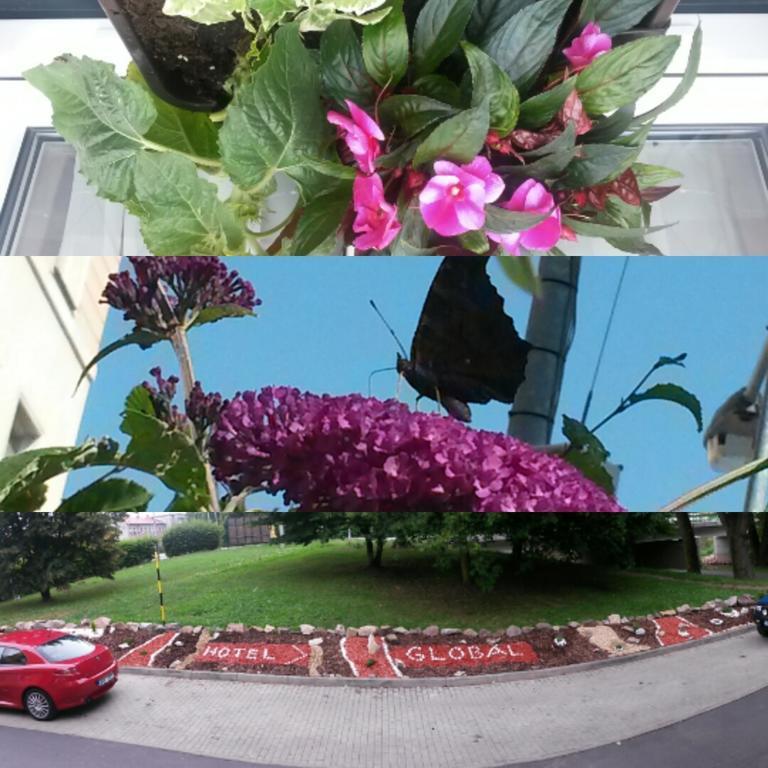 סוקולוב Hotel Global מראה חיצוני תמונה